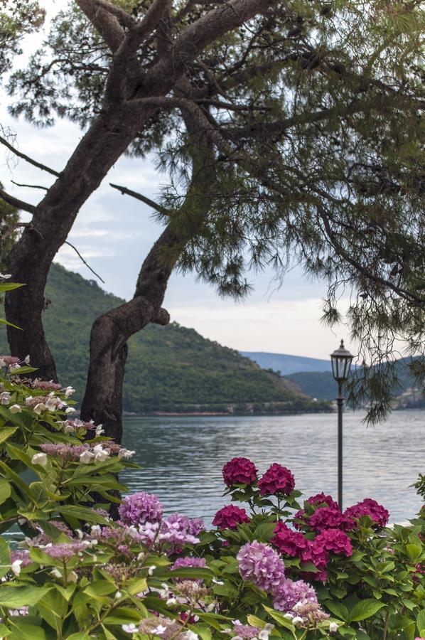 Sunny Port Apartment & Rooms Perast Dış mekan fotoğraf